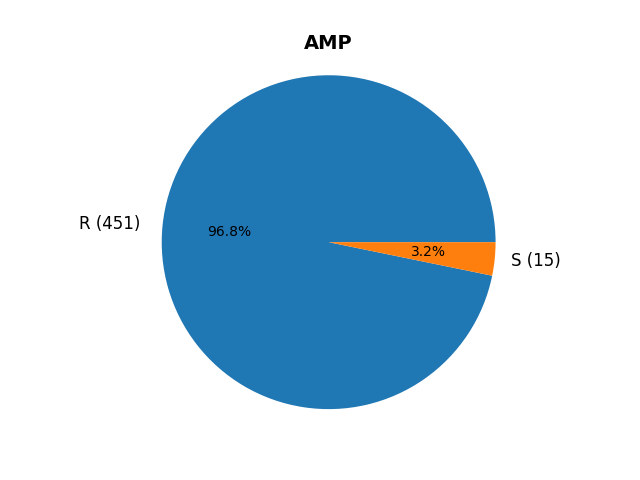 AMP