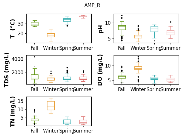 AMP_R