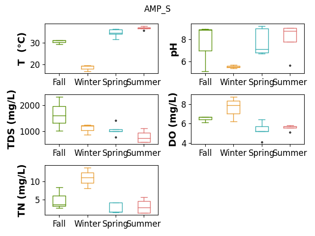 AMP_S