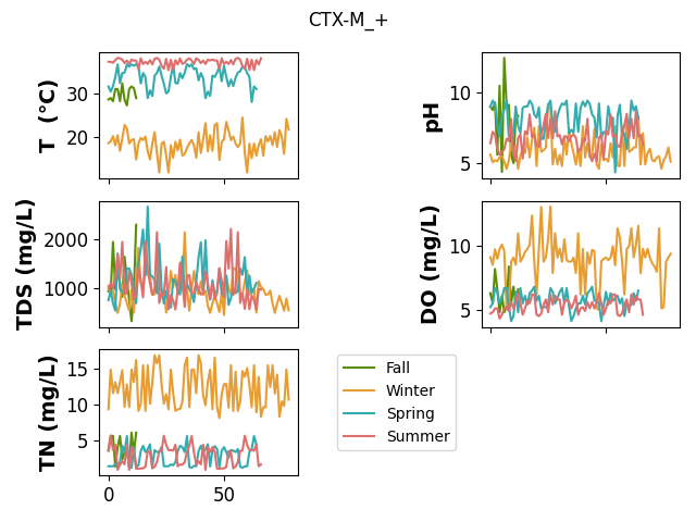 CTX-M_+