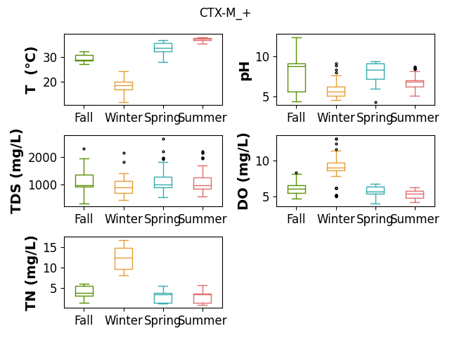 CTX-M_+