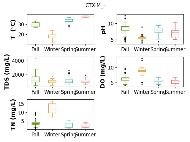 CTX-M_-